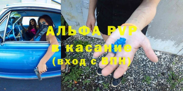PSILOCYBIN Новодвинск
