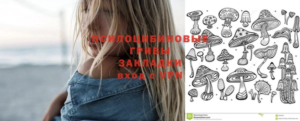 PSILOCYBIN Новодвинск