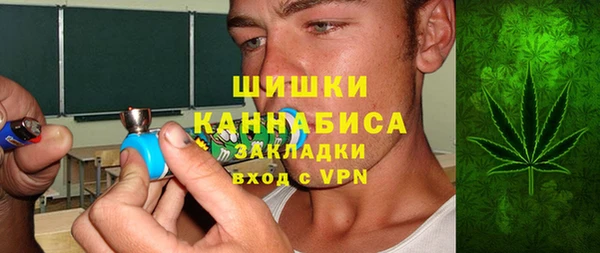 PSILOCYBIN Новодвинск