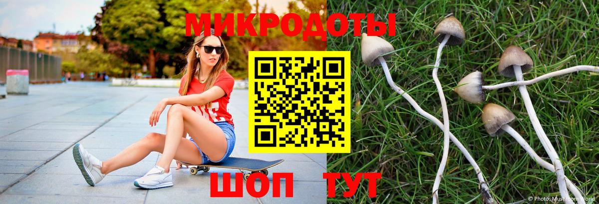 Галлюциногенные грибы Magic Shrooms  Вход с VPN  Чистополь 